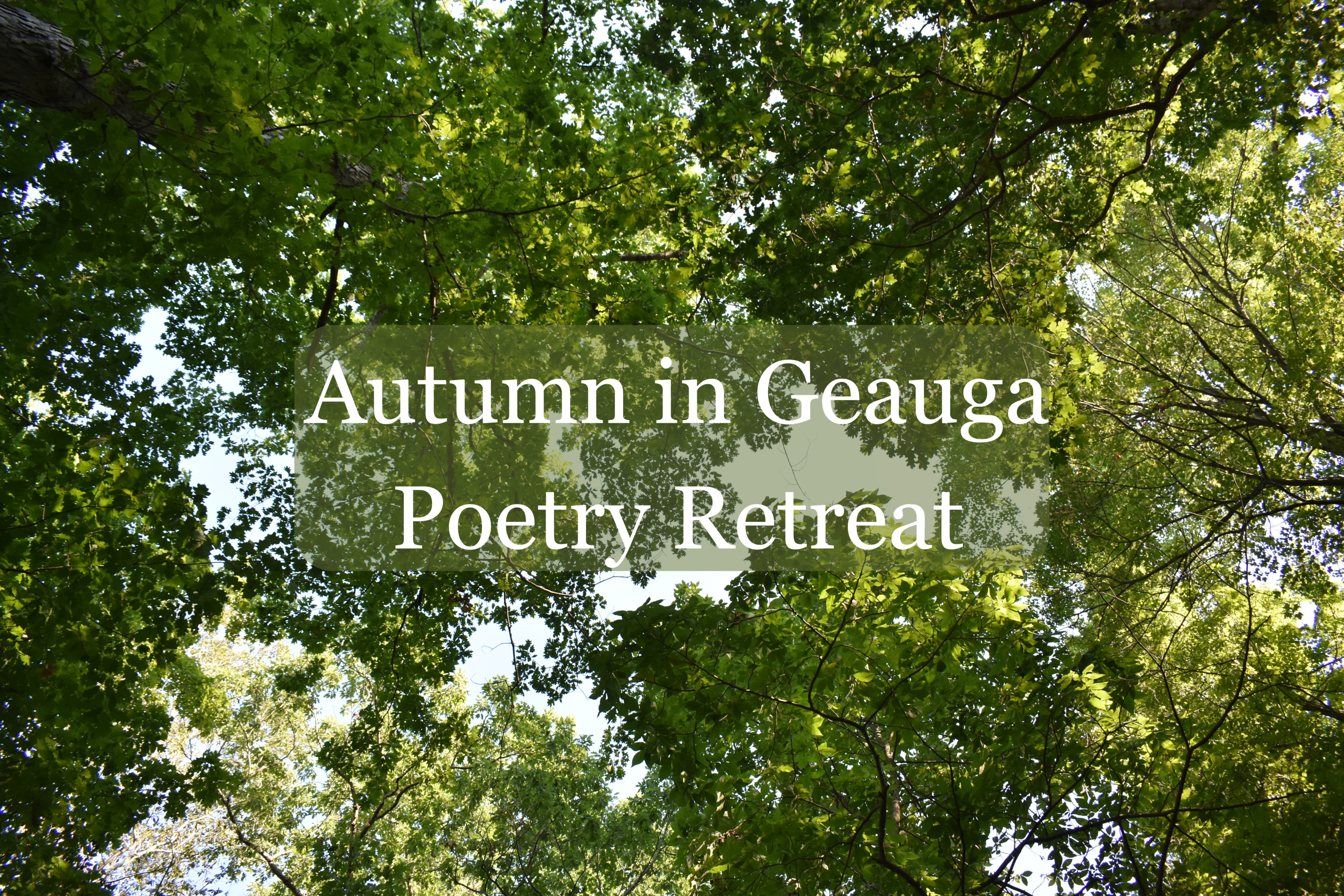 tree canopy in geauga county